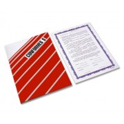 FORMULARIO CONFORME EN $ 1020