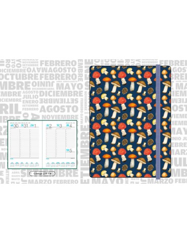 AGENDA CLASSIC MEDIUM 211T4