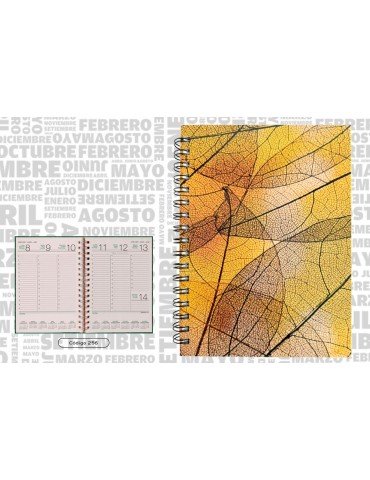 AGENDA CLASSIC 256 RECICLADA