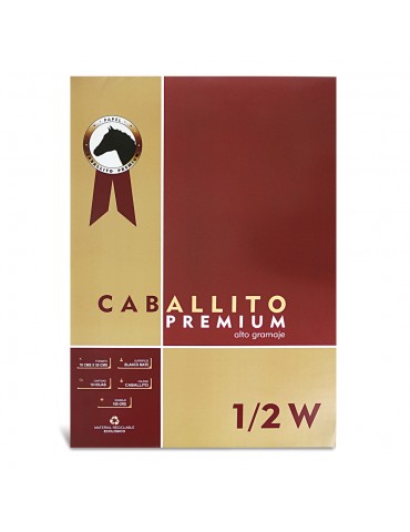 BLOCK DIBUJO 1/2 W CABALLITO 180GR.