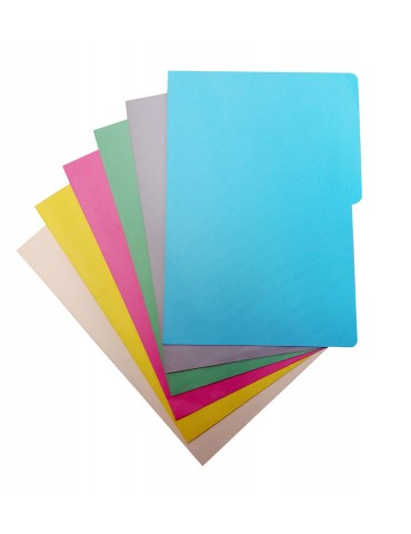 CARPETA CON OREJA OFICIO PAMO