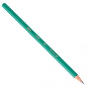 LÁPIZ DE ESCRIBIR BIC EVOLUTION HB